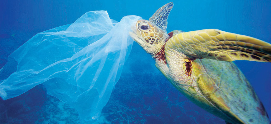 Schildpad-plastic-tas